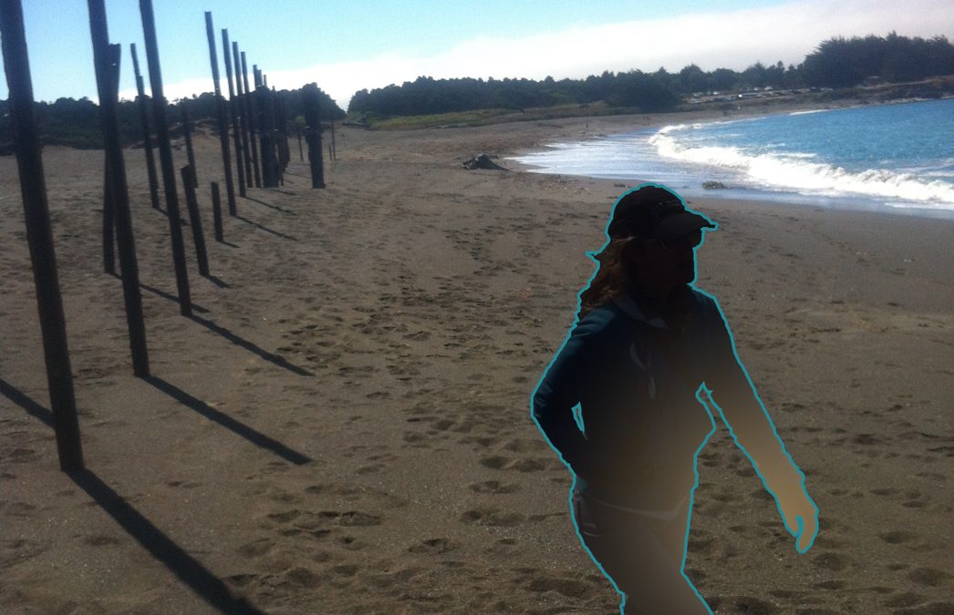 Kate Ft Bragg No.2