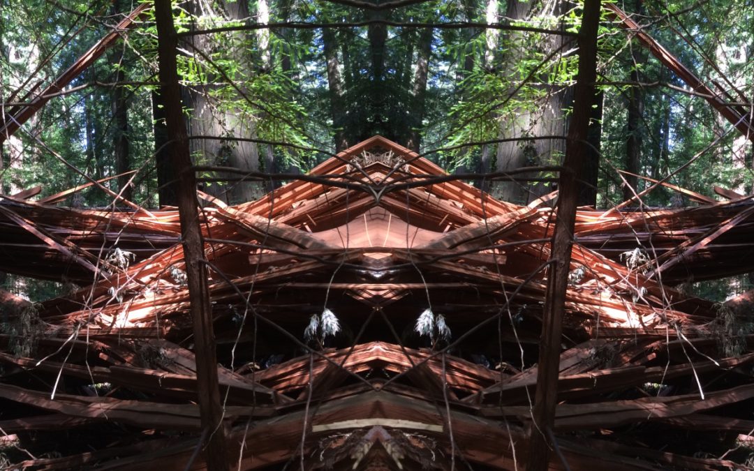 Redwood Ave. No. 2
