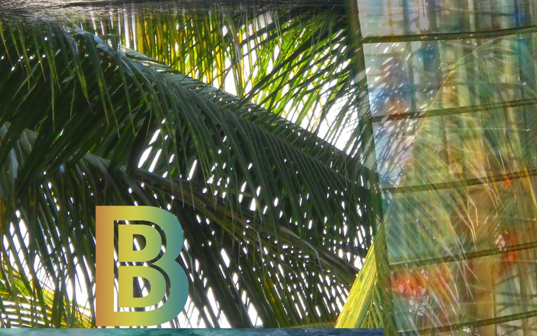B