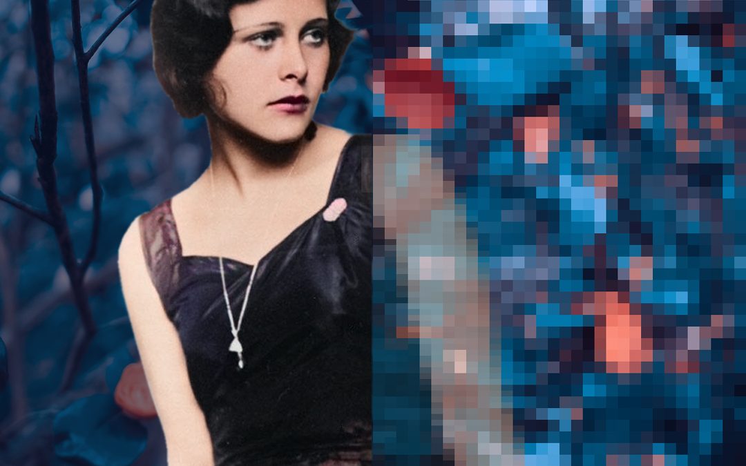 Hedy 3